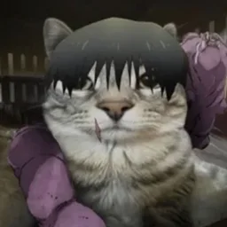 YamiRaze